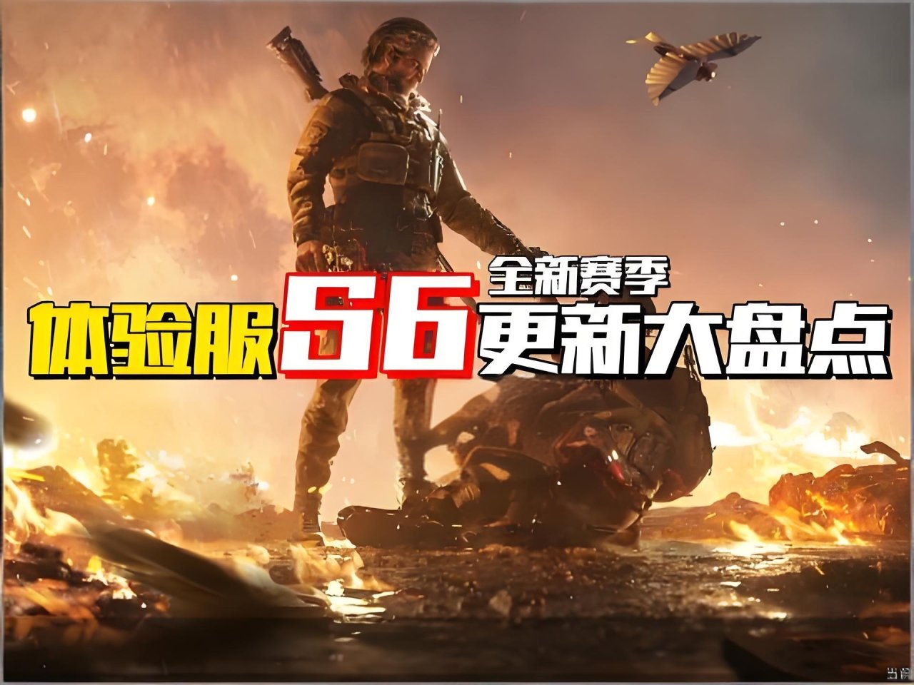 的行动任务